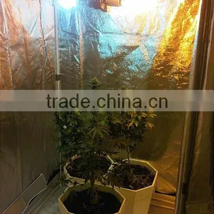 PVC Free Greenhouse Hydroponics Indoor Grow Tent Grow Room 100*100*200cm thumbnail-1