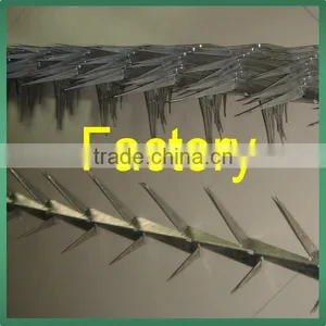 Anti Climb Sharp Wall Spike on Top of Wall and Fence thumbnail-3