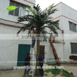 Plastic Indoor Artificial Coconut Palm Tree Size Between 2m and 10m Factory Wholesale thumbnail-2