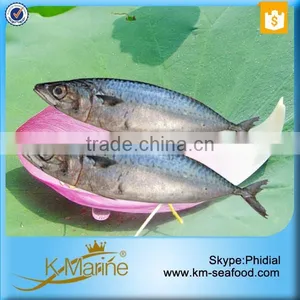 China Supplier of Sea Food Products thumbnail-2