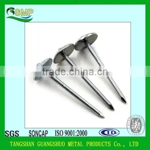 Umbrella Head Twist/Screw/smooth Shank Roofing Nails With Washer thumbnail-1