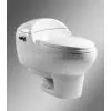 Toilet [one Piece Toilet] thumbnail-1