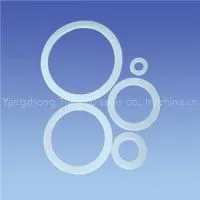 PTFE Gaskets thumbnail-1