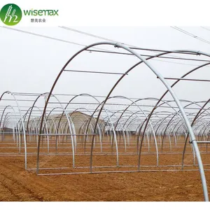 Hot Sale Commercial Polycarbonale Small Single Span Greenhouse thumbnail-2