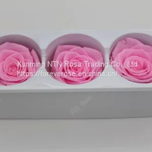 Preserved Rose Heads Look Like Artificial Flowers? It′s 100% Real!40 Colors 6-7cm Preserved Fresh Flower for Hotel Decoration thumbnail-1