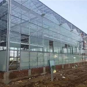 Glass Greenhouse 9.6m/10.8m Multispan Glass Greenhouse thumbnail-3