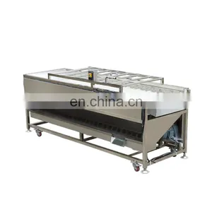 Industrial Automatic Red Bell Pepper Onion Tomato Vegetable Brush Roll Washing Machine for Sale thumbnail-5