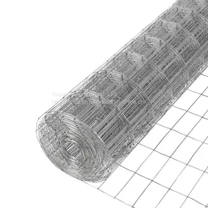 Galvanized Welded Wire Mesh thumbnail-2