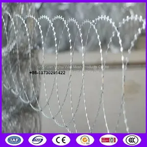 Standard Barb Wire Strip Flat Wrap Razor Wire / Razor Sharp Wire Barrier Fencing thumbnail-2