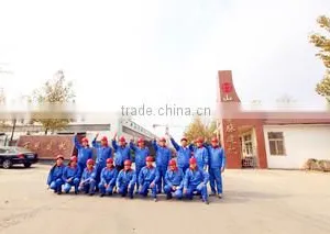 Shandong Baimai Construction Machinery Co., Ltd. company overview - view 1 thumbnail