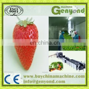 STRAWBERRY Quick Freezing Processing Line Machine thumbnail-5