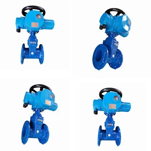 Electric Modulating Valve 220VAC Single Phase Soft Sealed Gate Valve thumbnail-1
