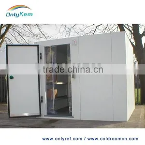 China Commercial Freezer for Fish and Chicken thumbnail-5