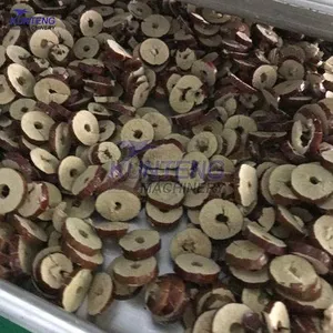 Jujube Lyophilizer Commercial Freeze Dryer Fruit Freeze Drying Machine EPC thumbnail-2