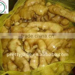 Provide Fresh Chinese Yellow Ginger thumbnail-1