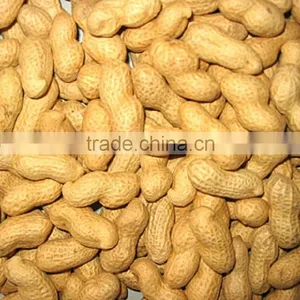Roasted Peanuts in Shell 9/11 thumbnail-1