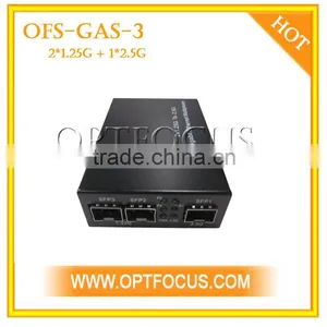 Two 1.25G to 2.5G Gigabit Ethernet Multiplexer thumbnail-1