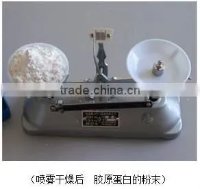 Experimental / Laboratory Spray Drying Machine /equipment for Food /biology /chemical /medical thumbnail-3