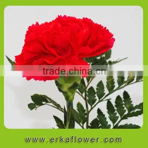 Natural Promotional Fresh Cut Carnation Flower Arrangements thumbnail-5