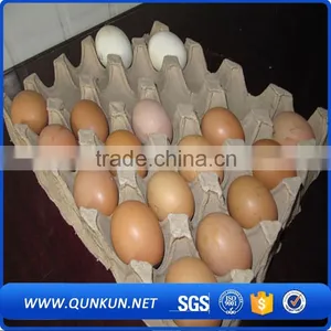 Cheap Price Transport Tray thumbnail-3
