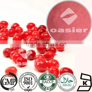 1% to 50% Proanthocyanidin Cranberry Extract Powder With ISO Kosher Certificate thumbnail-1