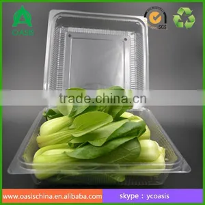 Clear Palstic Clamshell Boxes for Vegetable Packing Pet thumbnail-4