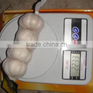 Pure White Garlic With 4 Pcs/bag Packing thumbnail-2