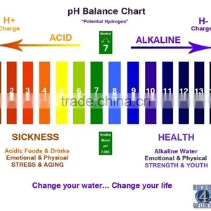 Alkaline Filter thumbnail-3