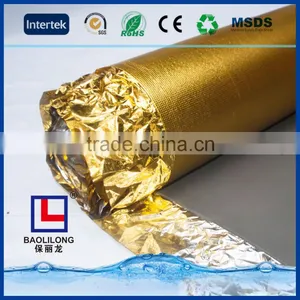 EVA With Golden Film thumbnail-1