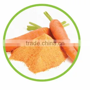 TTN Freeze Dried Vegetables Powder Dried Carrot Powder thumbnail-3