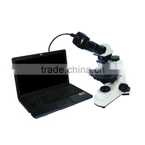 DBMVV3000C-500P Digital Polarizing Microscope thumbnail-1