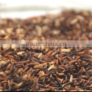 Riceberry Organic Rice thumbnail-4