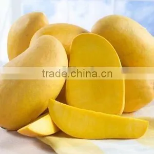 Fresh Indian Mango Chaunsa / Dashehri / Langra Mangoes thumbnail-1