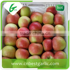 Fresh Chinese New Crop Red Gala Apple thumbnail-1