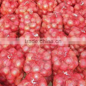 Onions thumbnail-1