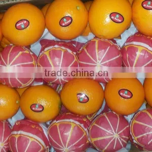 L'orange From Egypt thumbnail-6