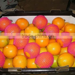 Fresh Citrus Fruit Navel Orange 2015 thumbnail-2