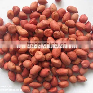 Chinese Long Type Peanut Kernels thumbnail-2