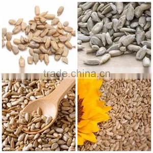 Sunflower Kernels From Factory Sunflower Seeds Manufacturer From China thumbnail-2