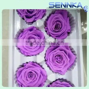 Handcraft Real Natural Colorful Preserved Dried Rose Flower in Gift Box thumbnail-2