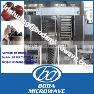 New Arrival Hot Air Prunes Drying Machine thumbnail-1