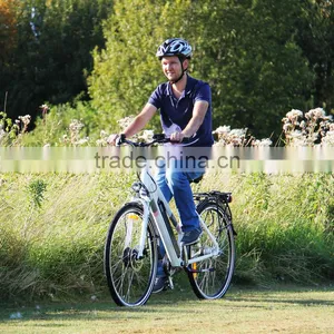 2016 New 250W Electric Bike for Sale (EL05) thumbnail-5