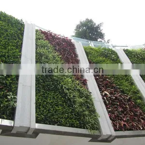 High Quality Eco-friendly Artificial Plant Wall, Foliage Green Wall, Indoor or Outdoor thumbnail-5
