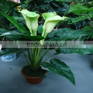 LXY081142 Garden Decoration Plastic Shrubs Artificial Calla Lily Bonsai Plants thumbnail-1