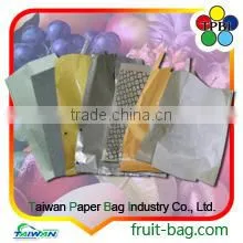 Double Layers Waterproof Mango Cover Cheap Paper Bag thumbnail-6