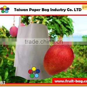Mango Growing Paper Bag for Agriculture/paper Bag for Agriculture thumbnail-1