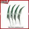 Wedding Dresses Decoration Indian Wholesale Natural Peacock Feather thumbnail-4