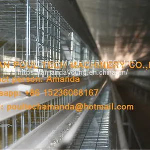 Cameroon Poultry Farm A Frame Automatic Small Chicken Cage & Pullet Coop With Nipple Drinker & Drop Cup in Chicken Shed thumbnail-2