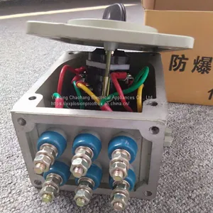 Explosion-proof Transfer Switch 60A/ 3-phase Motor Controlled Starting Switch 380V Aluminum Alloy Housing BHZ51 thumbnail-4