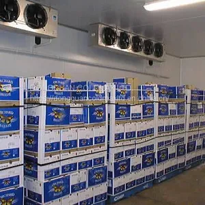 Cold Room Cold Storage for Potato thumbnail-2